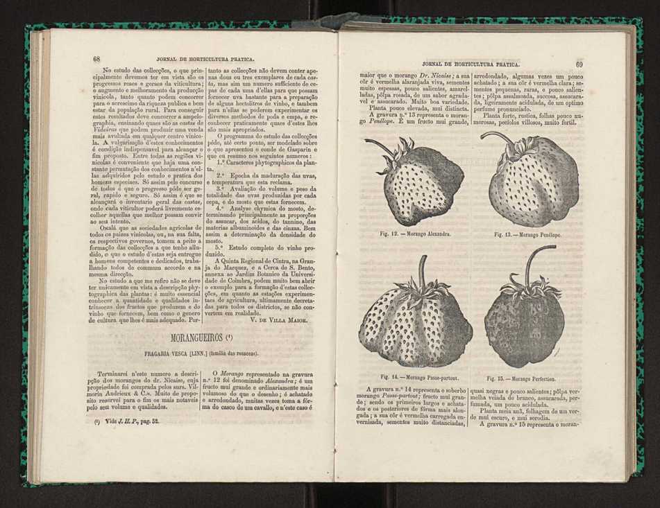 Jornal de horticultura prtica I 44