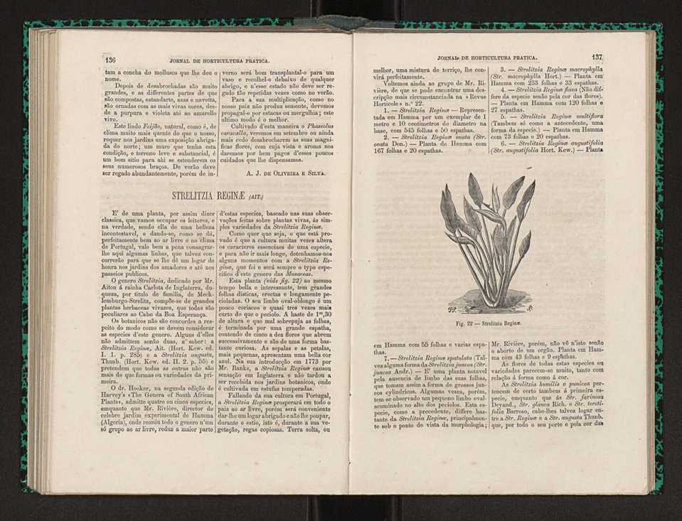 Jornal de horticultura prtica I 82