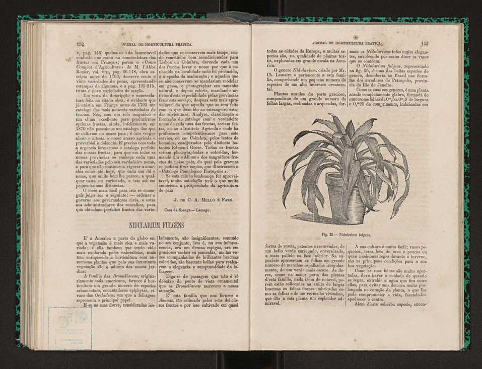 Jornal de horticultura prtica I 91