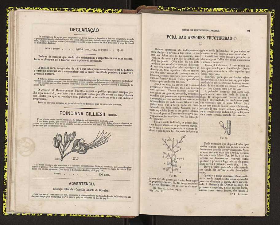 0002-Jornal de Horticultura Prtica II 1871 24