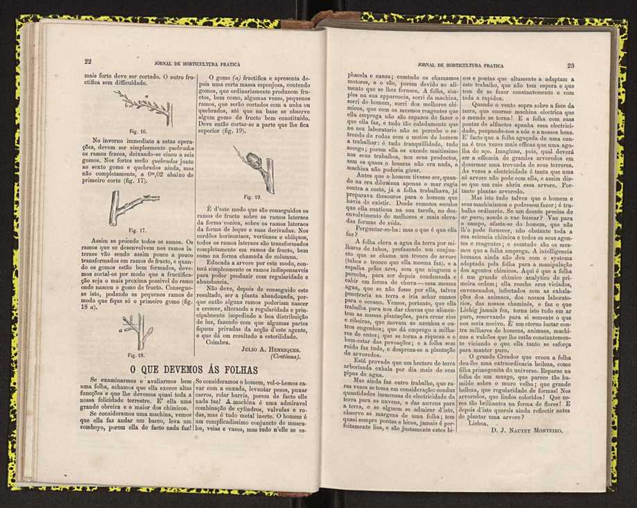 0002-Jornal de Horticultura Prtica II 1871 25