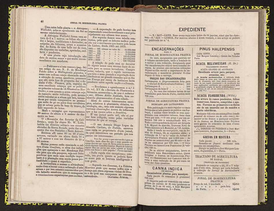 0002-Jornal de Horticultura Prtica II 1871 34