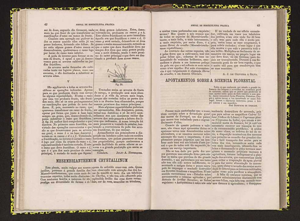 0002-Jornal de Horticultura Prtica II 1871 37