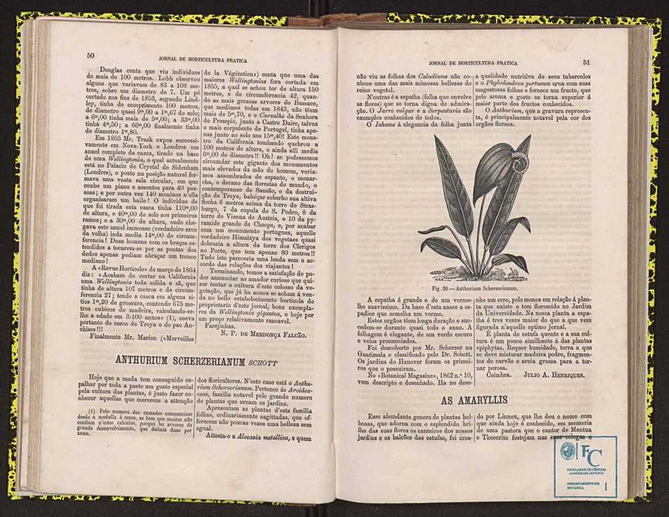 0002-Jornal de Horticultura Prtica II 1871 40