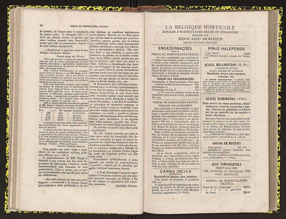 0002-Jornal de Horticultura Prtica II 1871 45