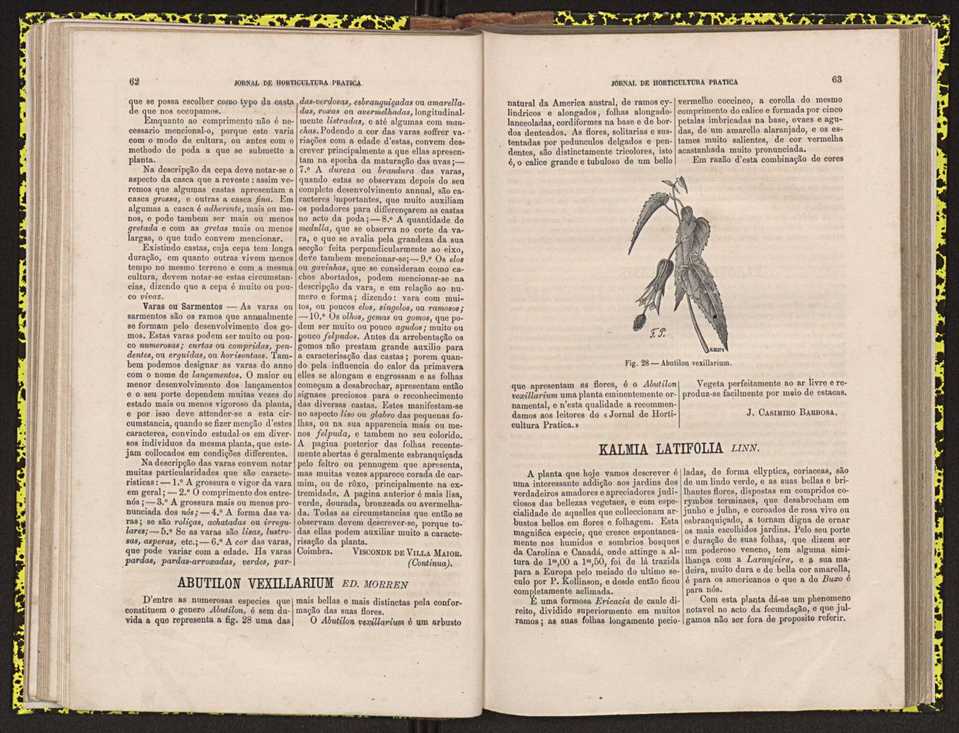0002-Jornal de Horticultura Prtica II 1871 48