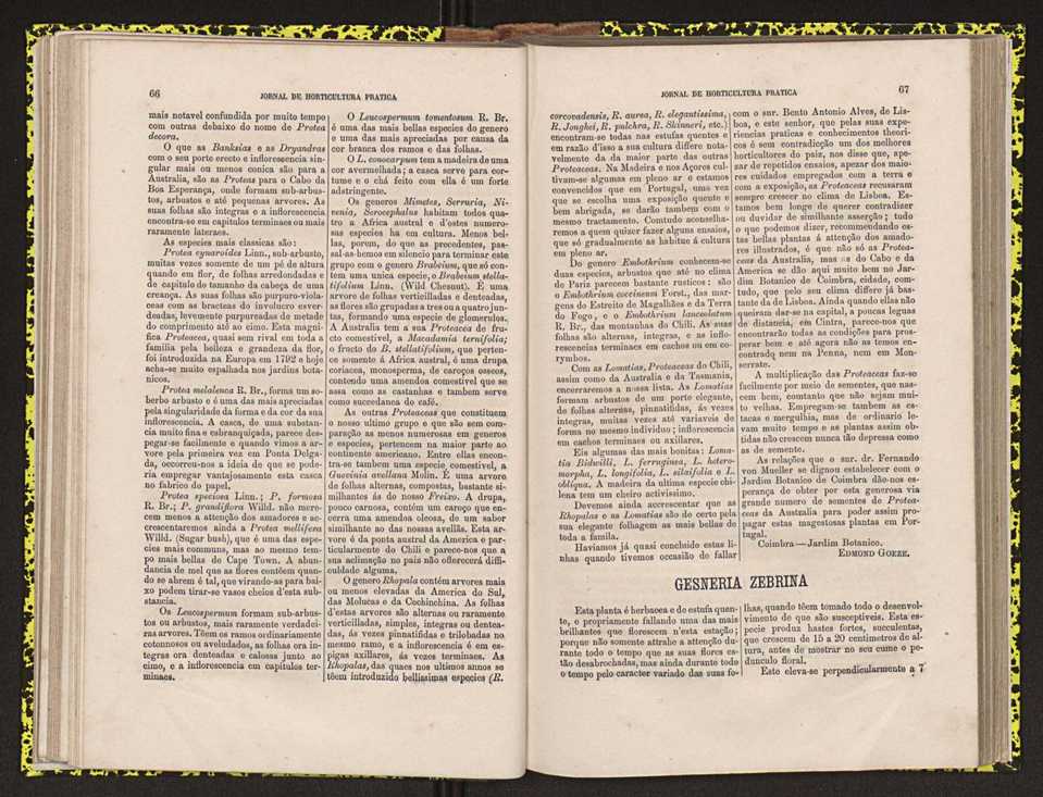 0002-Jornal de Horticultura Prtica II 1871 50