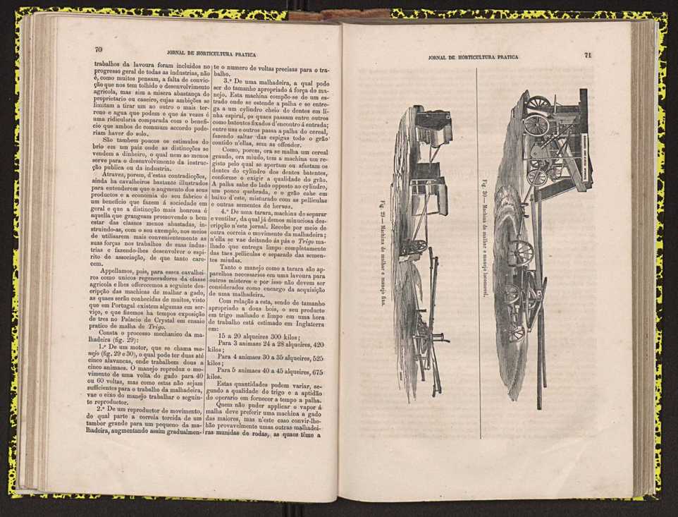 0002-Jornal de Horticultura Prtica II 1871 52