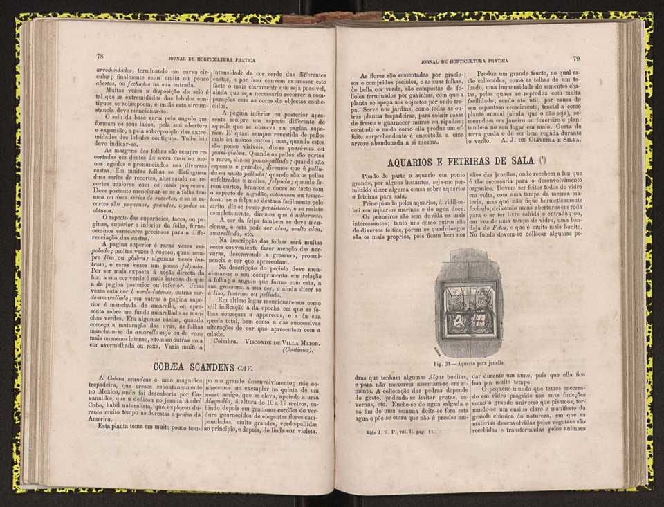 0002-Jornal de Horticultura Prtica II 1871 58