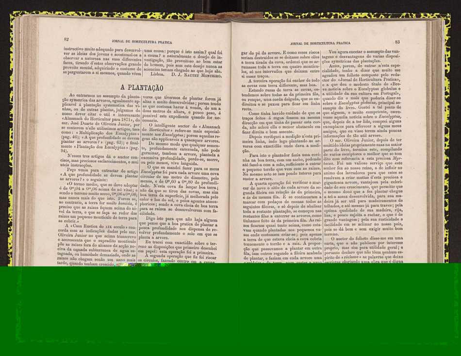 0002-Jornal de Horticultura Prtica II 1871 60