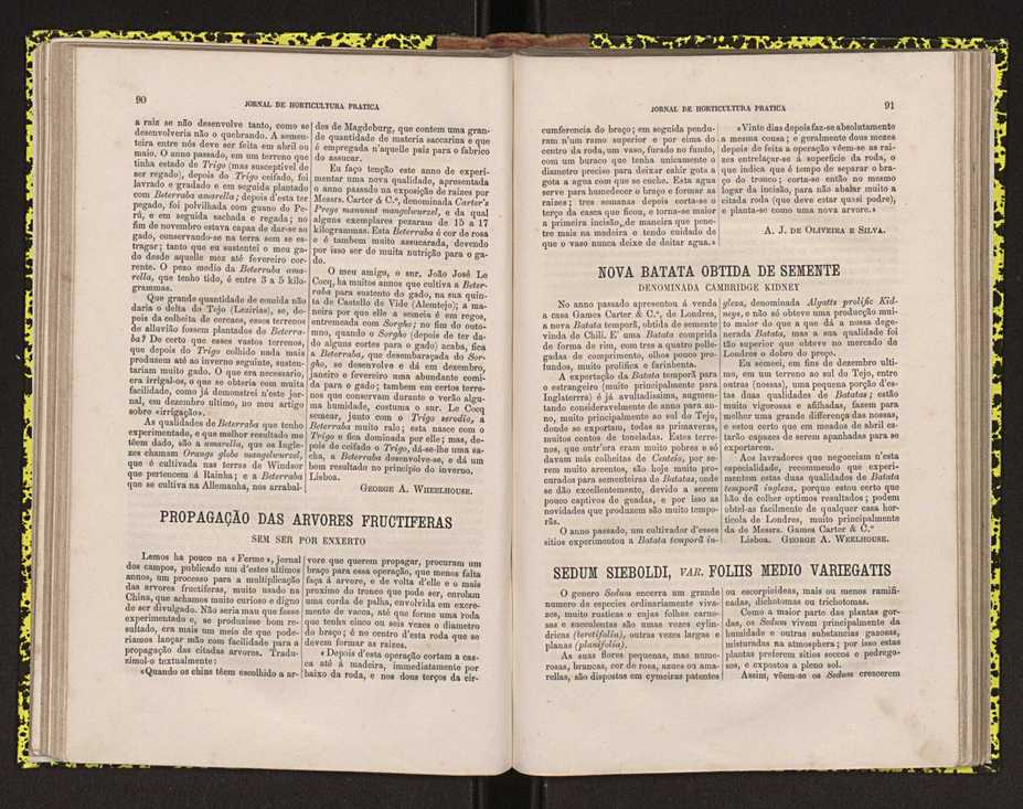0002-Jornal de Horticultura Prtica II 1871 64