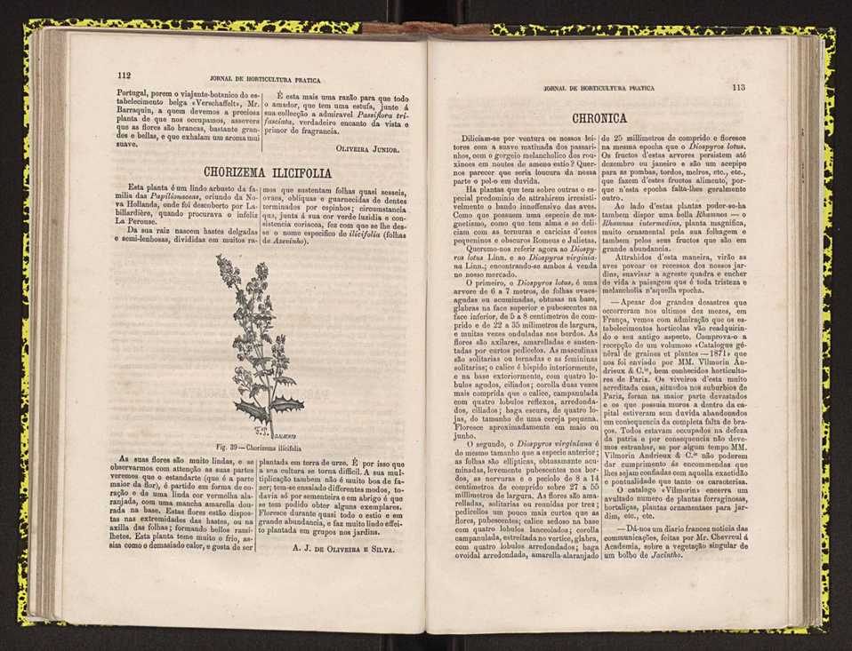 0002-Jornal de Horticultura Prtica II 1871 77