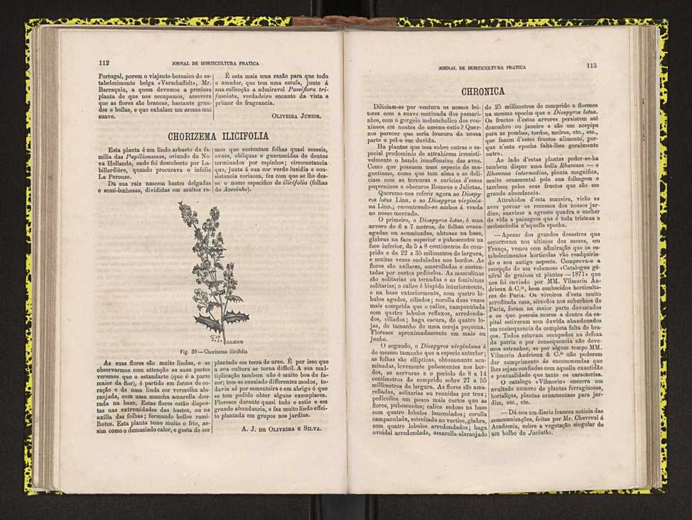 0002-Jornal de Horticultura Prtica II 1871 78