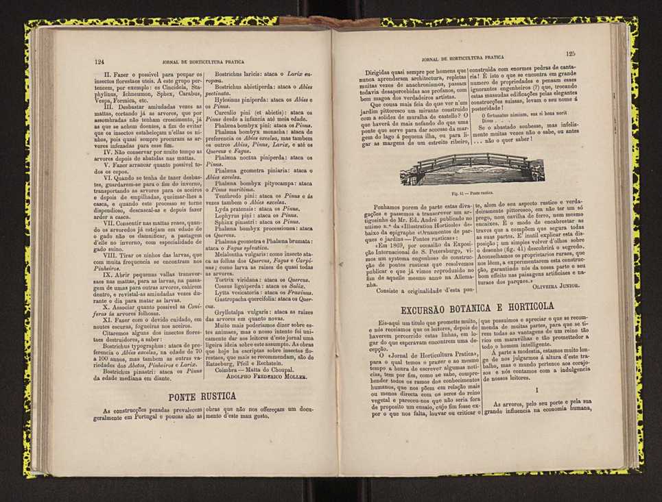 0002-Jornal de Horticultura Prtica II 1871 86