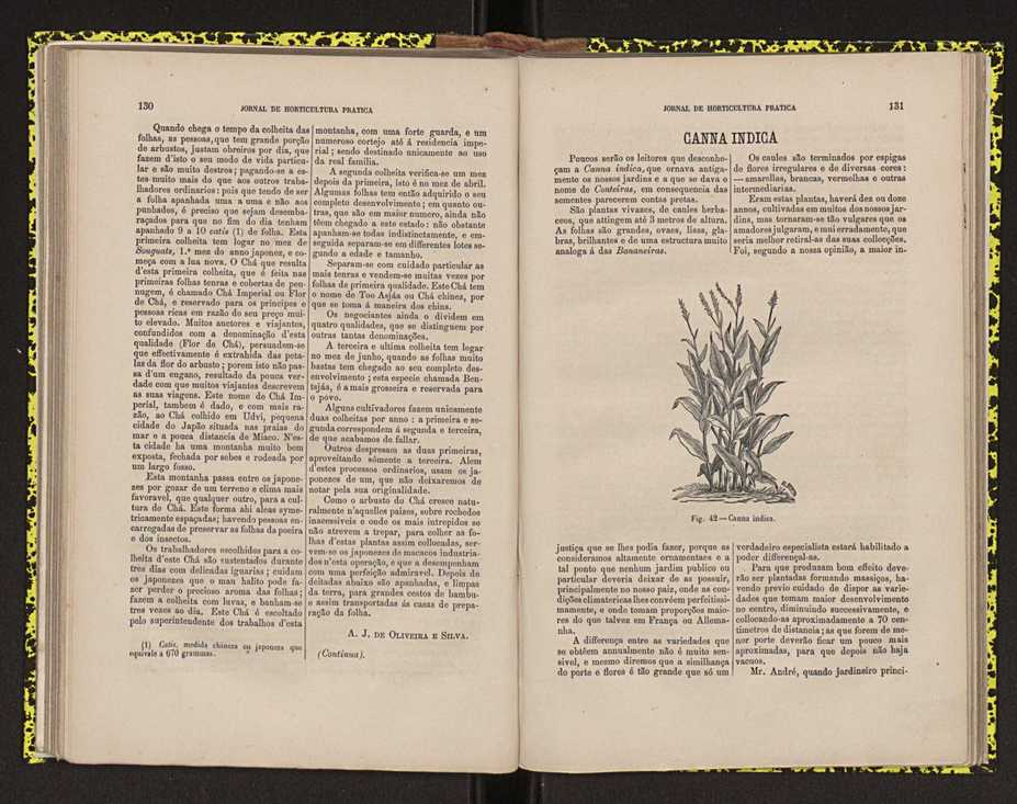 0002-Jornal de Horticultura Prtica II 1871 89