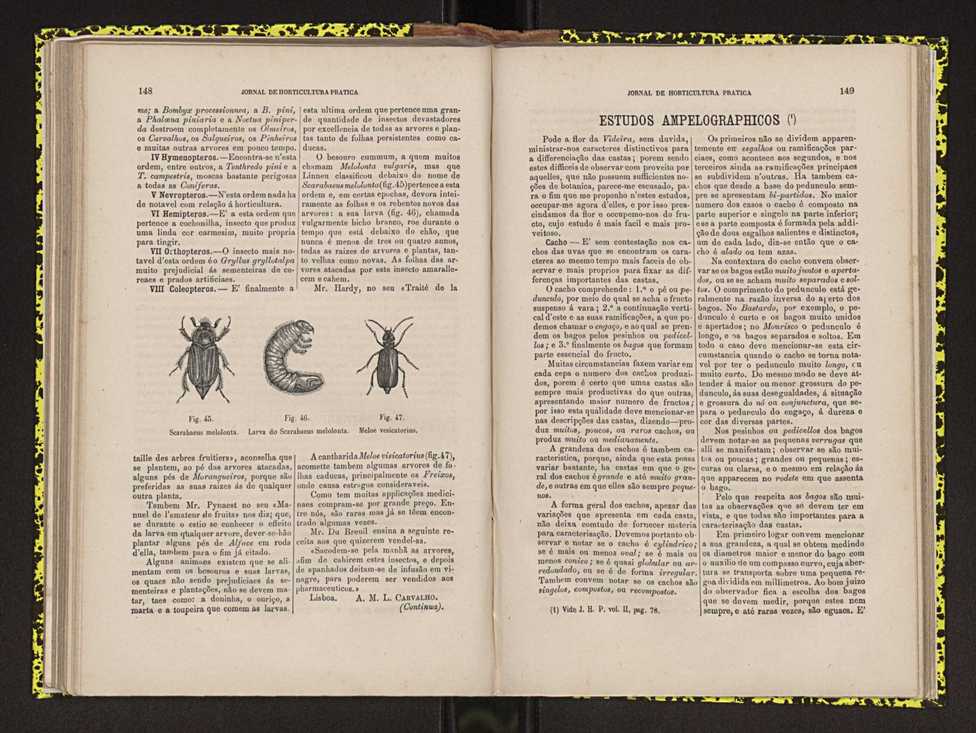 0002-Jornal de Horticultura Prtica II 1871 99