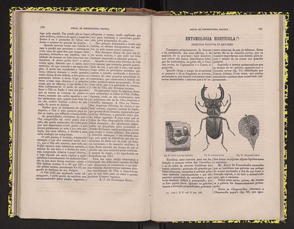 0002-Jornal de Horticultura Prtica II 1871 113