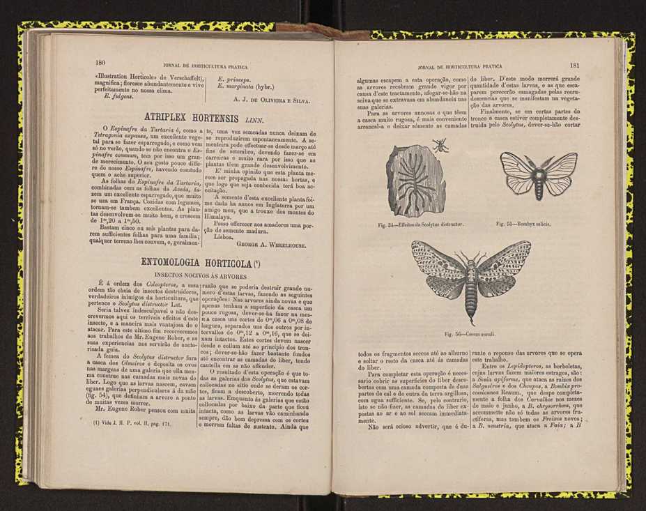 0002-Jornal de Horticultura Prtica II 1871 120