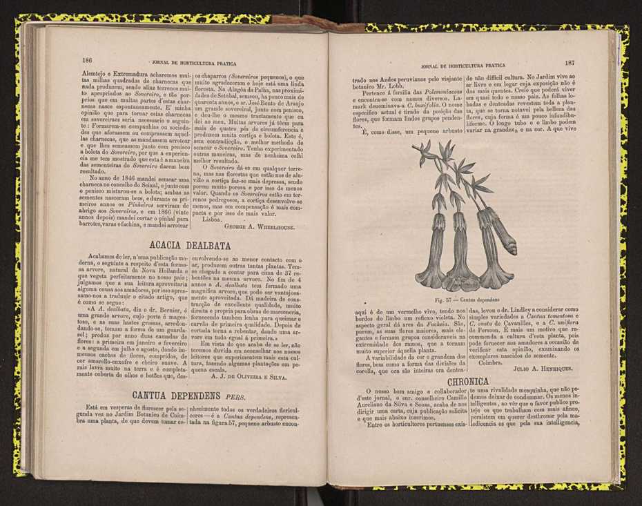 0002-Jornal de Horticultura Prtica II 1871 123