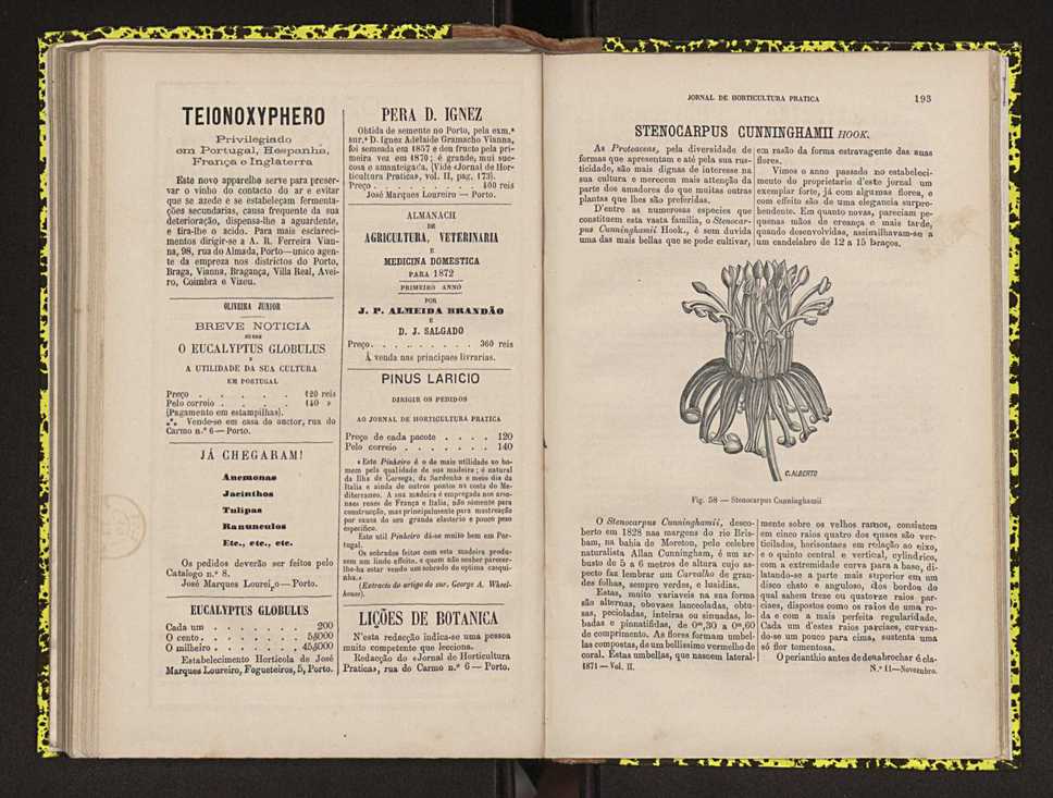 0002-Jornal de Horticultura Prtica II 1871 128