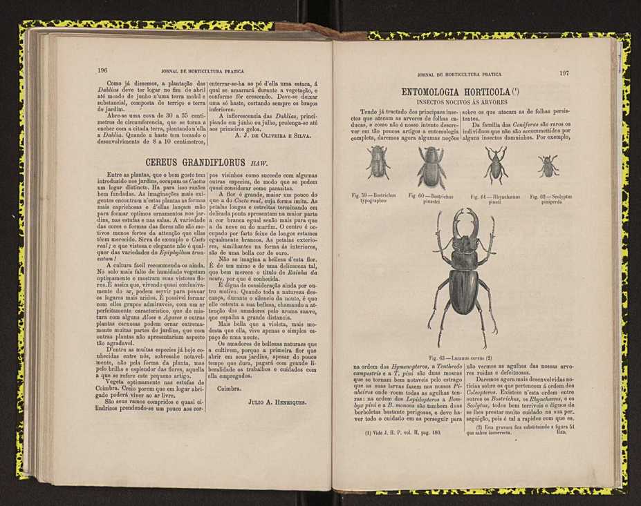 0002-Jornal de Horticultura Prtica II 1871 130