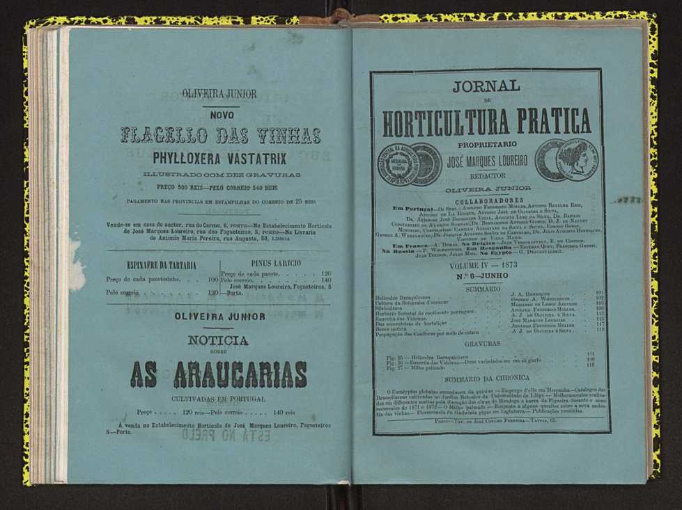 Jornal de horticultura prtica IV 68