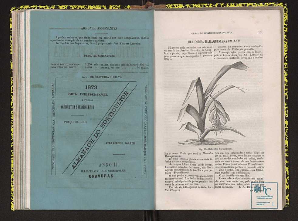 Jornal de horticultura prtica IV 69