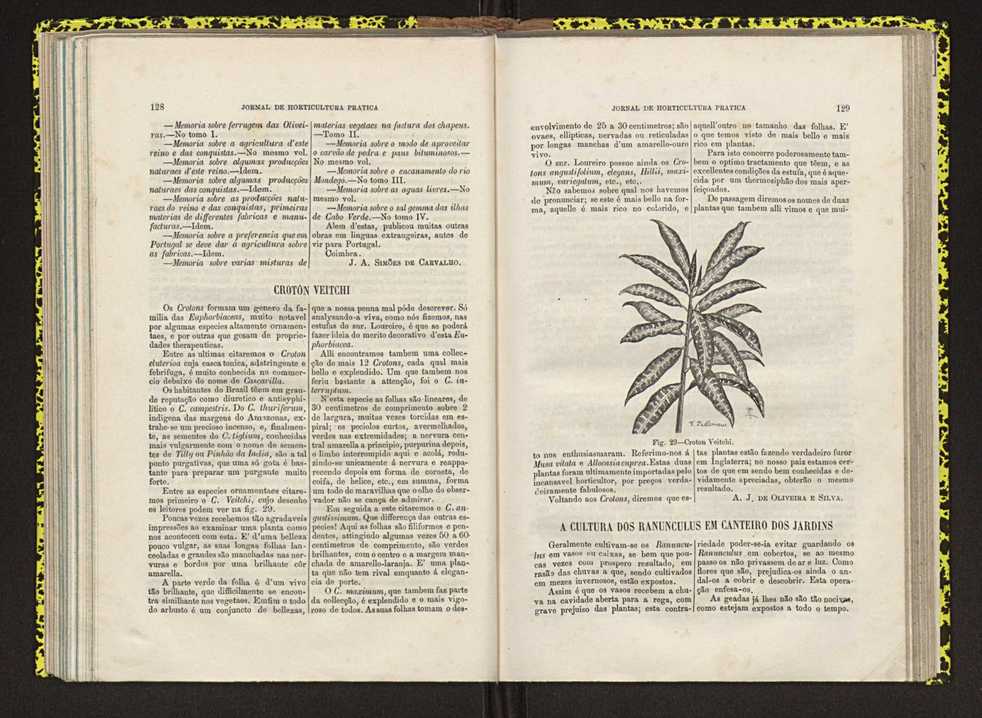 Jornal de horticultura prtica IV 85
