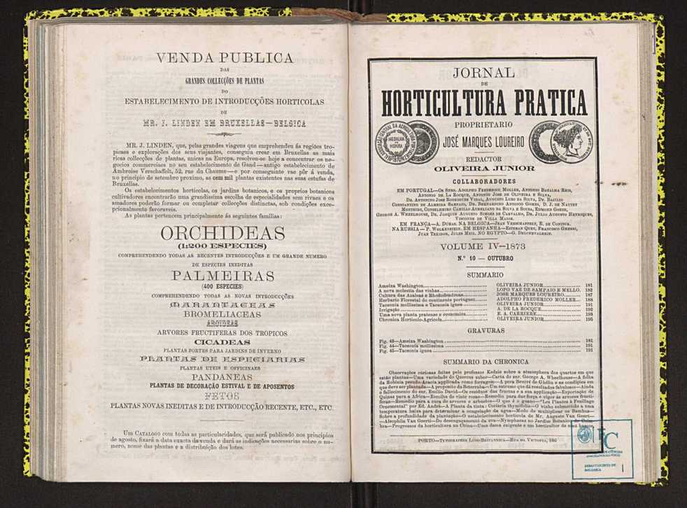 Jornal de horticultura prtica IV 116