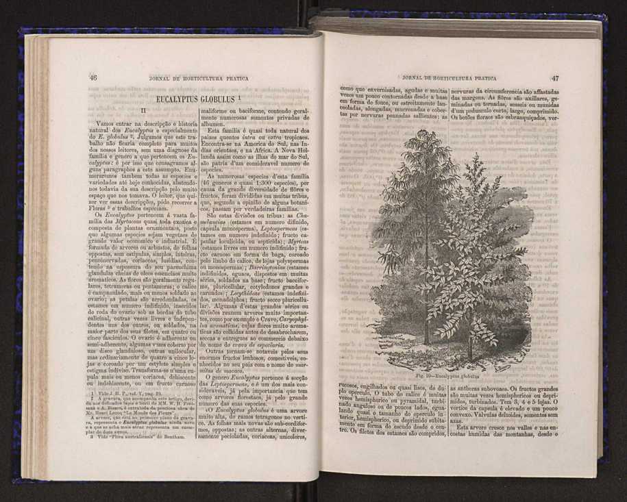 Jornal de horticultura prtica V 31