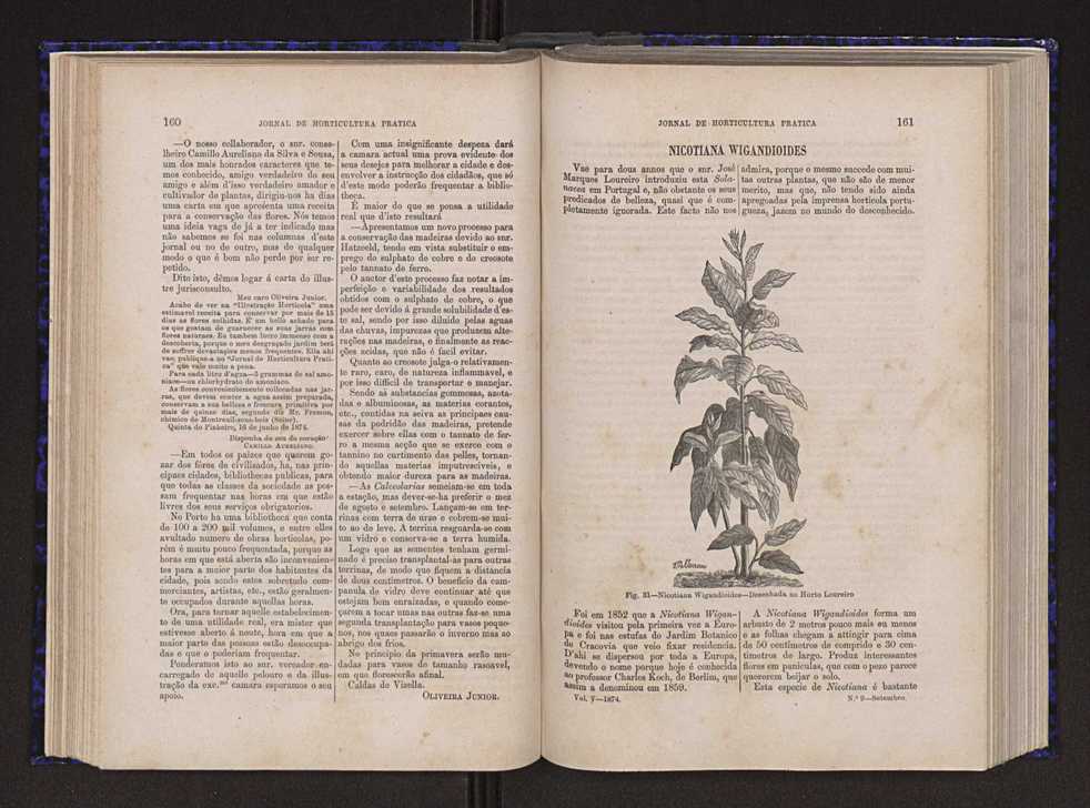 Jornal de horticultura prtica V 88