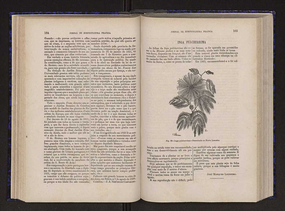 Jornal de horticultura prtica V 90