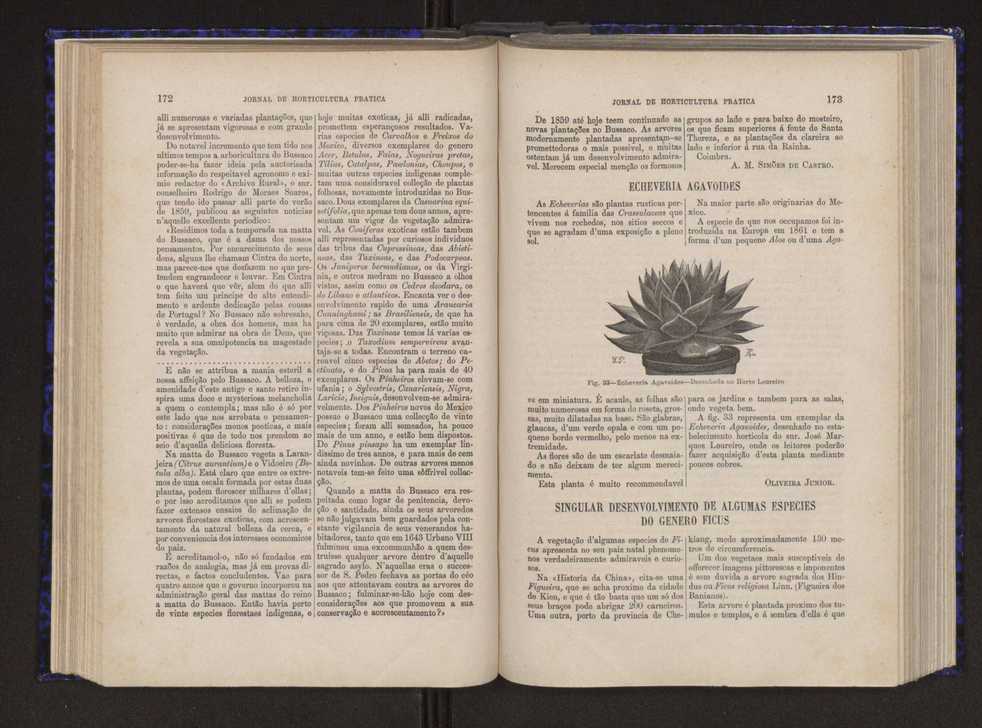 Jornal de horticultura prtica V 94