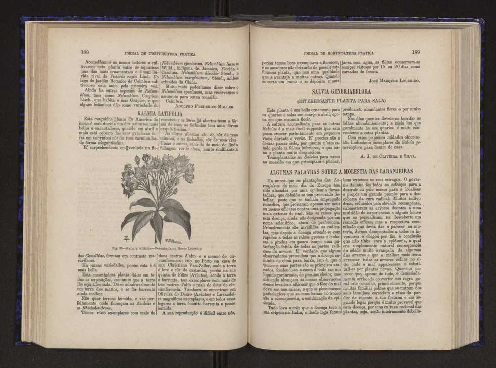 Jornal de horticultura prtica V 102