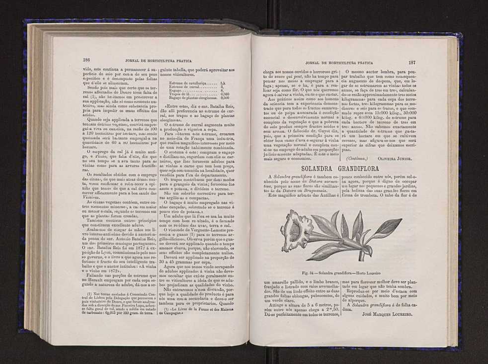 Jornal de horticultura prtica VI 100