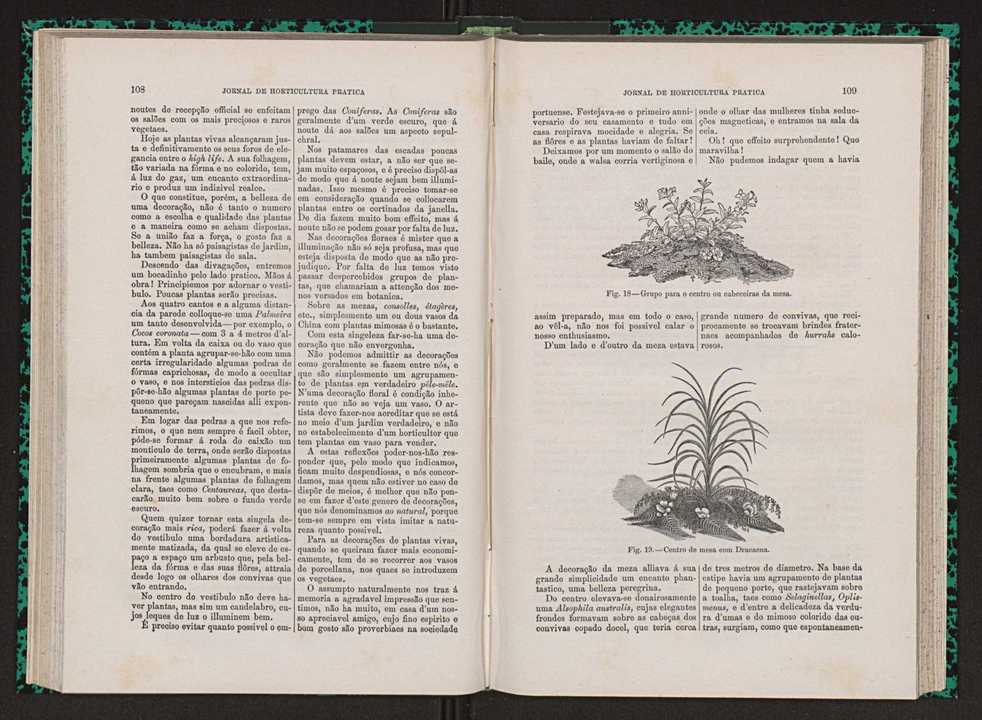 Jornal de horticultura prtica VII 66