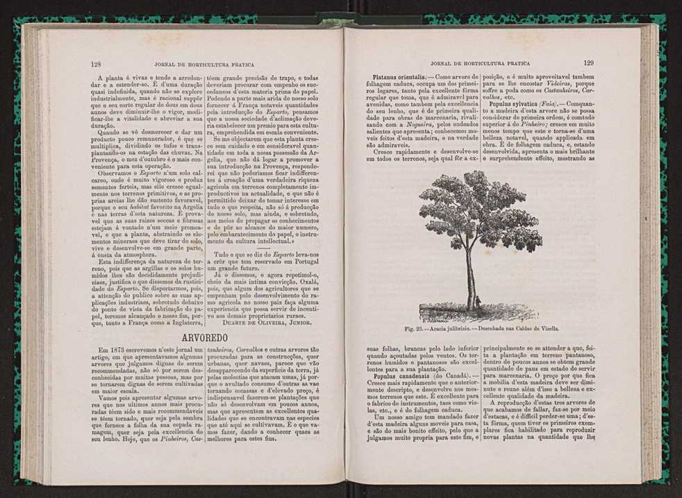 Jornal de horticultura prtica VII 76