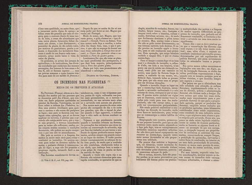 Jornal de horticultura prtica VII 94