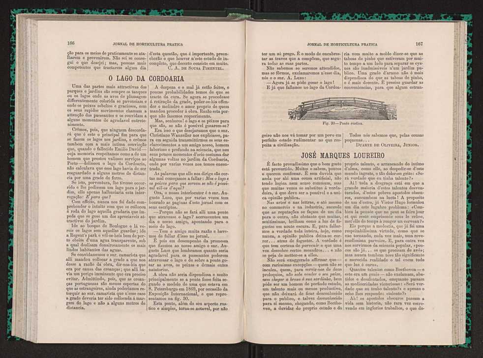 Jornal de horticultura prtica VII 95