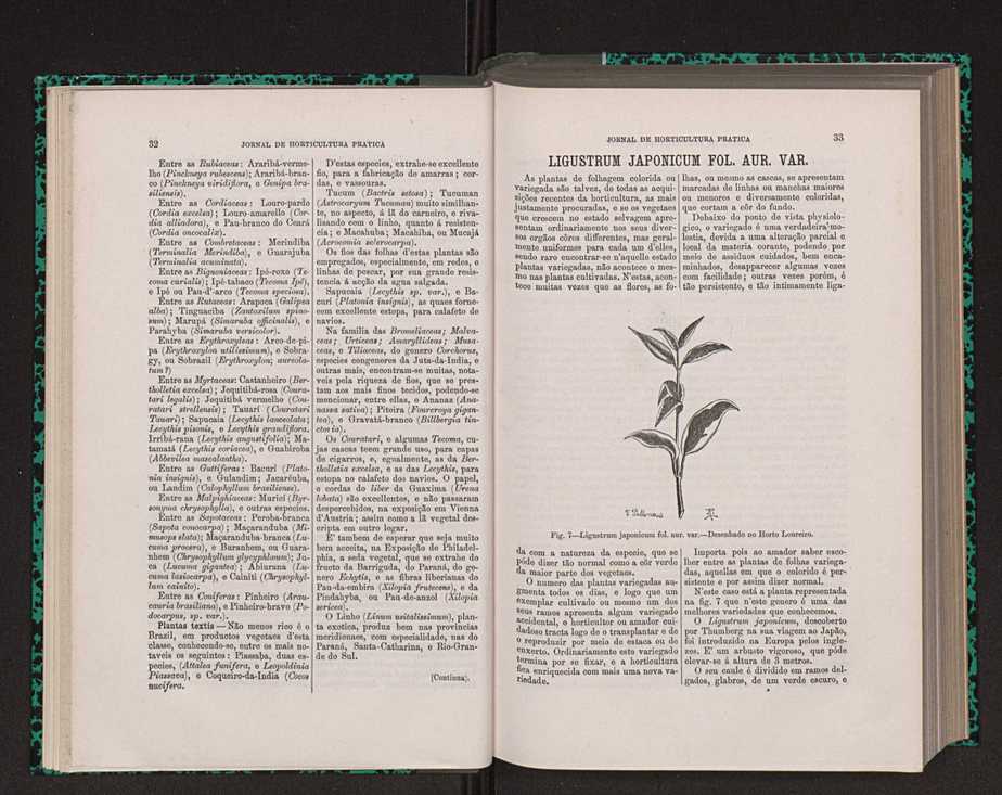Jornal de horticultura prtica VIII 27