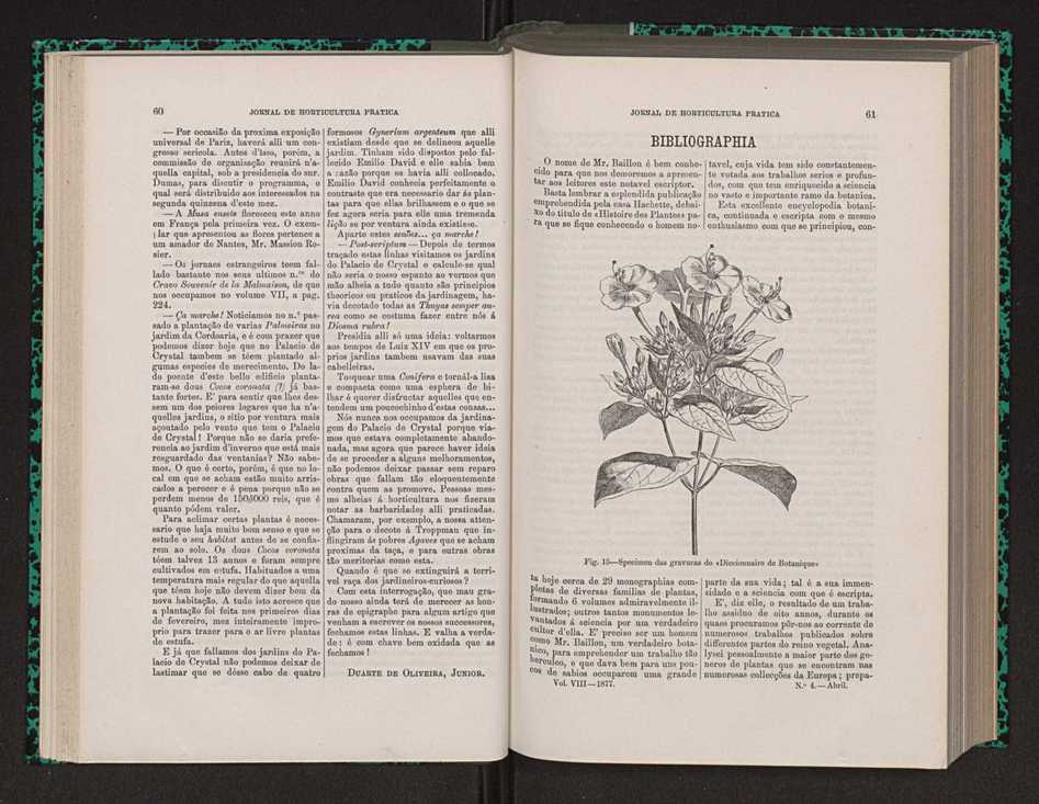 Jornal de horticultura prtica VIII 40