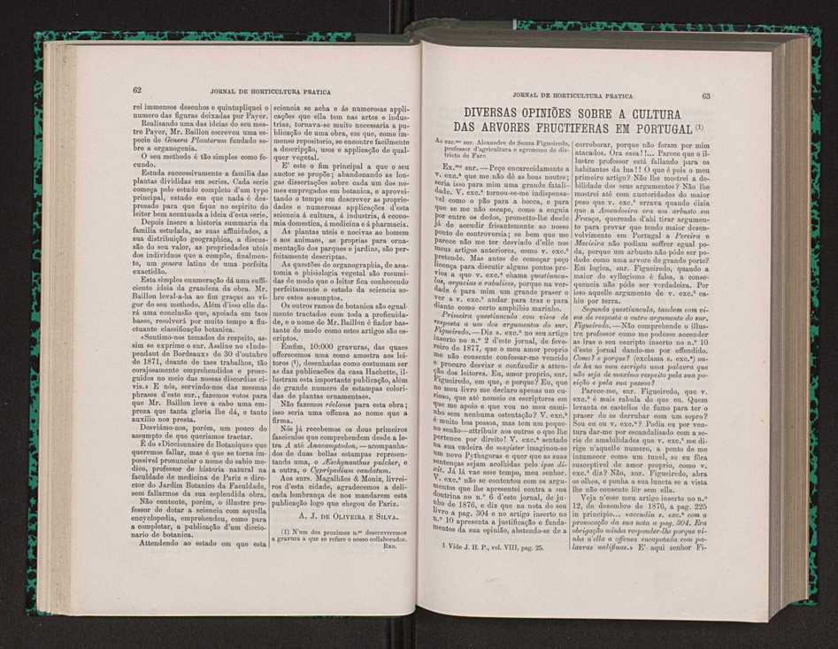 Jornal de horticultura prtica VIII 41