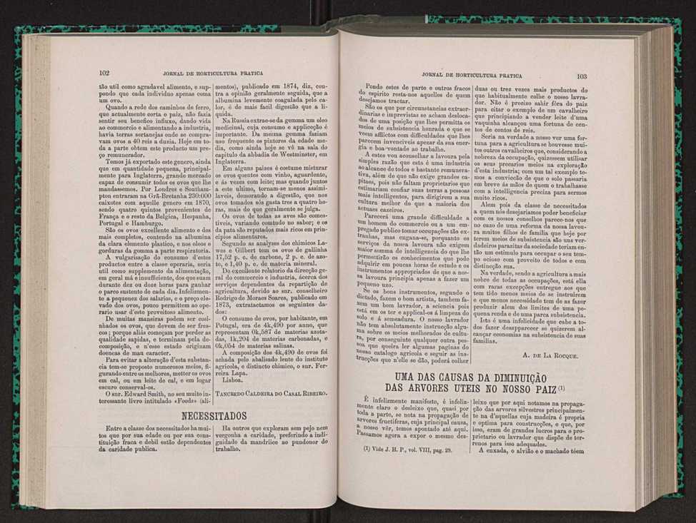 Jornal de horticultura prtica VIII 60