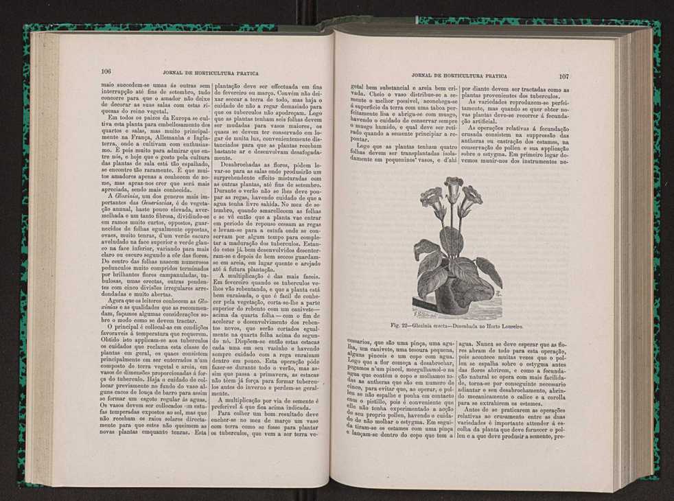 Jornal de horticultura prtica VIII 62