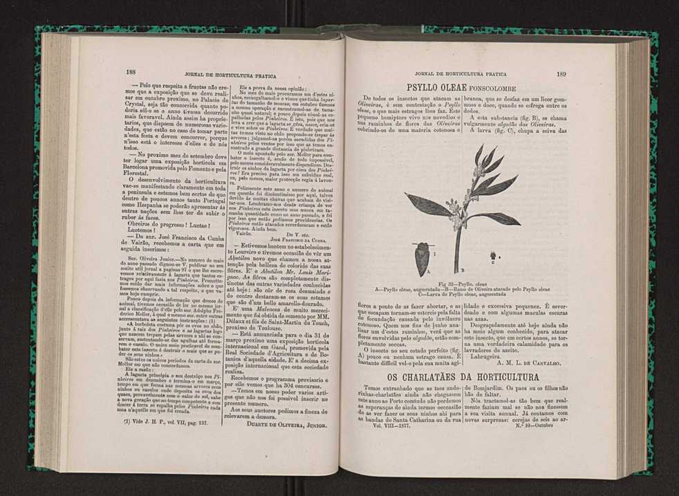 Jornal de horticultura prtica VIII 103