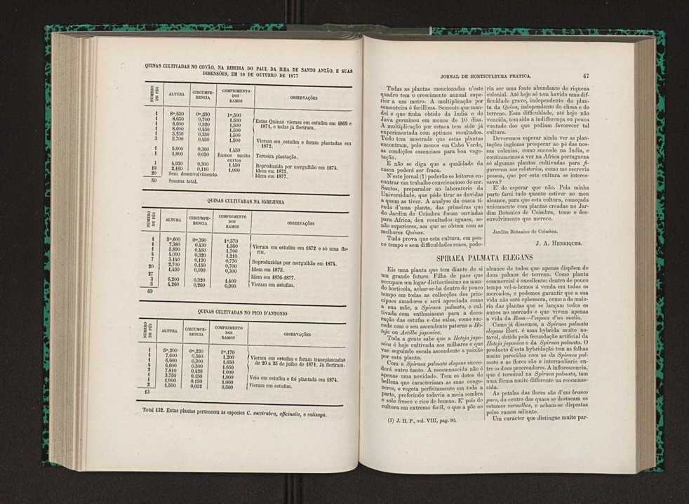 Jornal de horticultura prtica IX 32