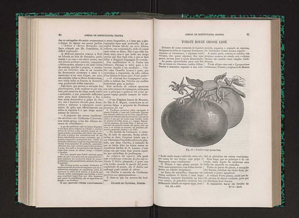 Jornal de horticultura prtica IX 39