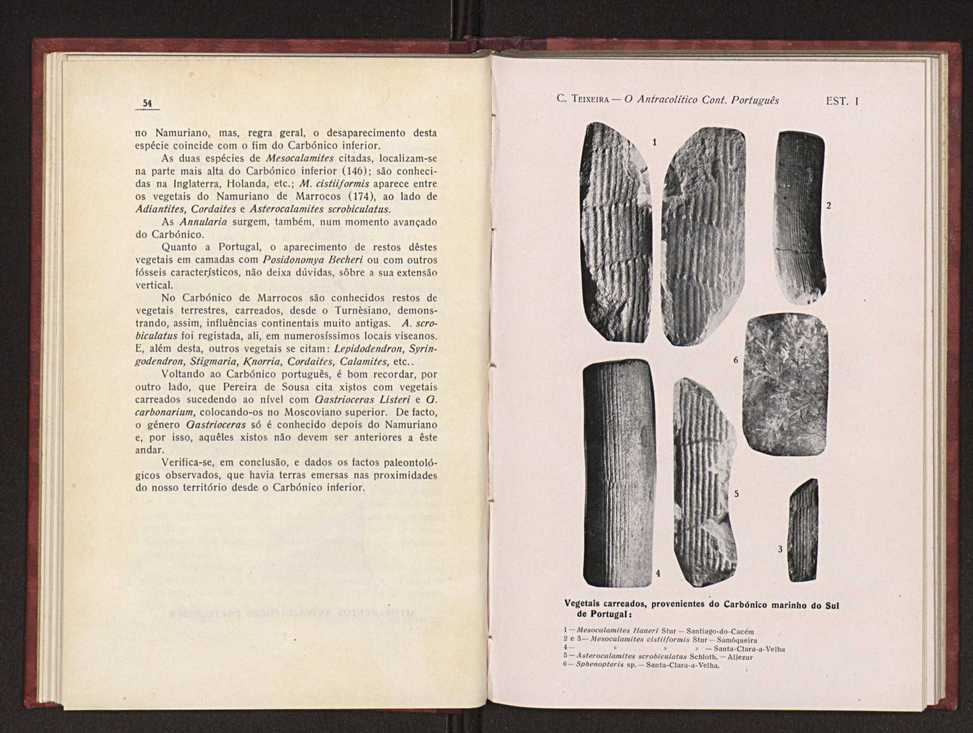 Oantracoltico continental portugus:estratigrafia:tectnica 36