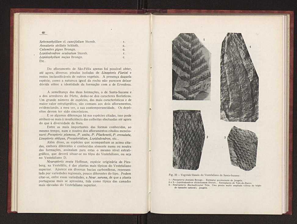 Oantracoltico continental portugus:estratigrafia:tectnica 42