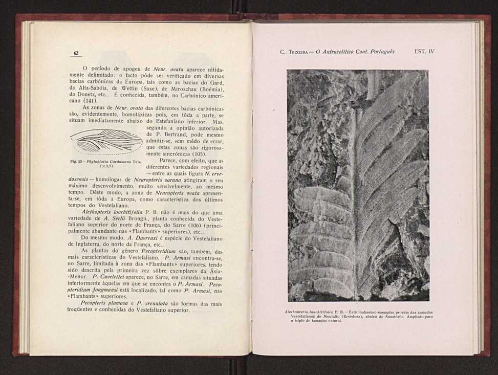 Oantracoltico continental portugus:estratigrafia:tectnica 43